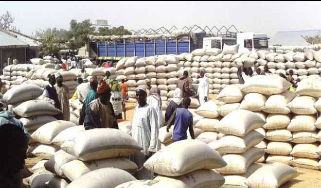 Protests: Dawanau Grains Market Recruits 800 Personnel to Bolster Security Dawanau Market Kano