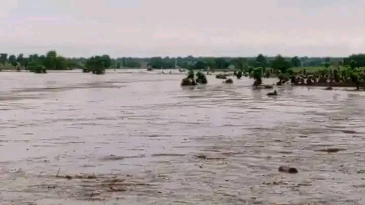 Flood Ravages Niger Community, Dozens Feared Dead, Many Missing FLOOD