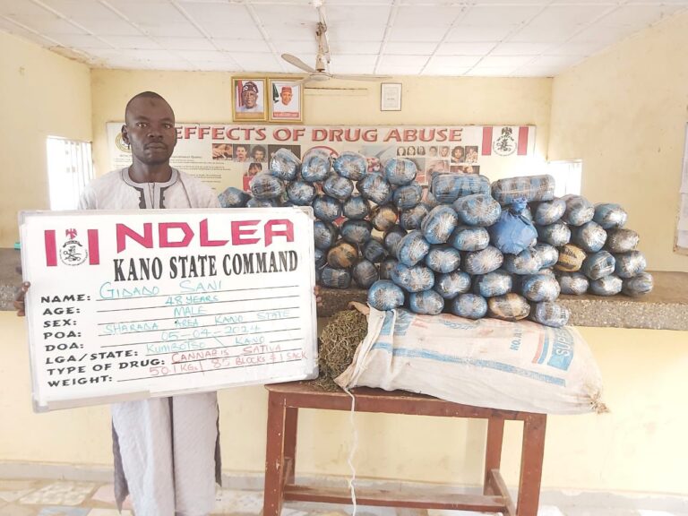 KANO NDLEA SUSPECT