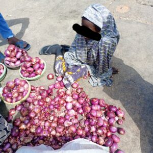 KURA ALBOSA SELLER KURA ALBOSA SELLER