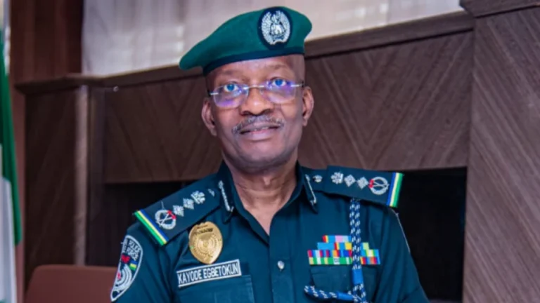 IGP Kayode Egbetokun Resigns, Cites Family Reasons Kayode EgbetokuN 960x540