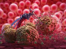 World Malaria Day: Expert Harps On Accelerated Efforts To Eradicate The Scourge MALARIA