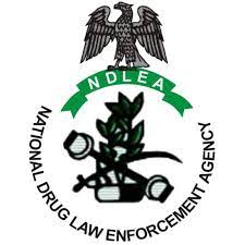 Kano NDLEA Secures 22 Convictions, Seizes 709.9kg Of Illicit Drugs NDLEA