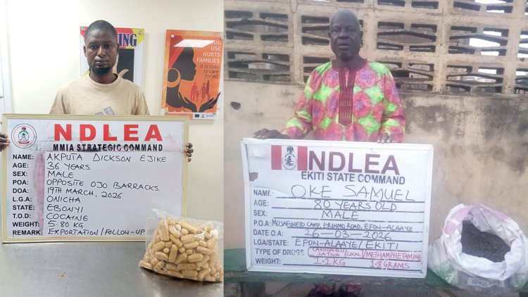 NDLEA Seizes Cocaine Hidden In Dry Fish NDLEA