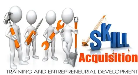 Beyond Certificates: Why Nigerian Students Must Graduate With Skills SKILL