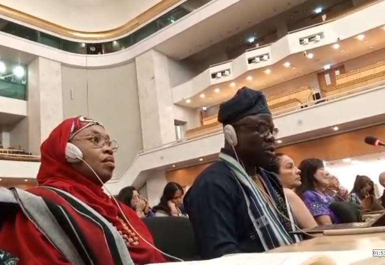 Abuja Indigenous Peoples’ Plight Worsening, AI May Deepen Exclusion, CHRICED Tells UN Screenshot 2026 07 13 132509