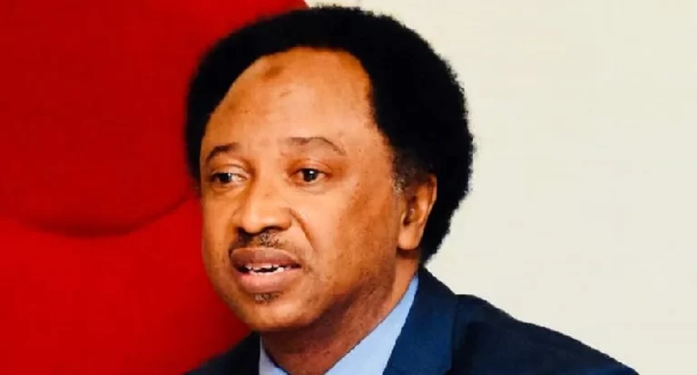 Shehu Sani Declares Interest In Senatorial Seat, Pledges Support For Governor Sani’s Re-election Shehu Sani