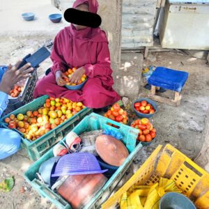 TOMATO SELLER TOMATO SELLER