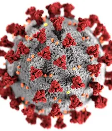 Multiple Disease Outbreaks Hit Nigeria, NCDC Warn Of Looming Danger Virus