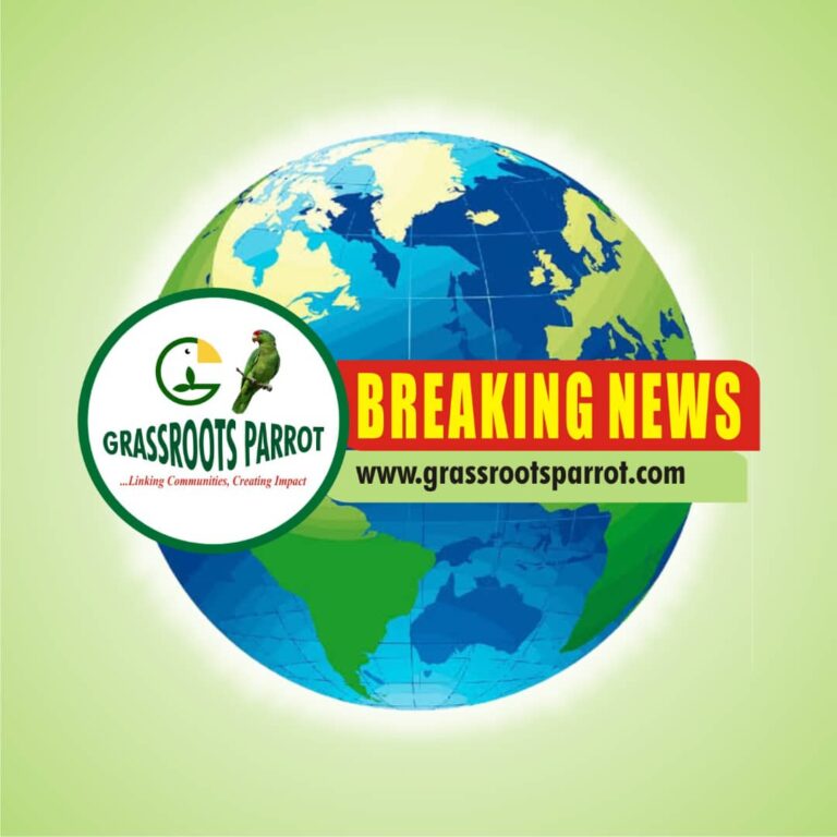 Just In: Tinubu Appoints New Heads Of NIA, DSS Breaking News
