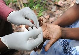 Kano State Records Over Four Thousands New HIV/AIDS Cases WhatsApp Image 2024 12 03 at 5.53.32 PM