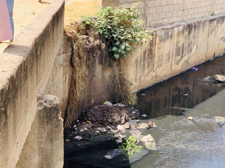 Kano Govt, Communities Trade Words Over Environmental Pollution In Industrial Areas WhatsApp Image 2024 12 04 at 9.23.29 AM