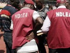 NDLEA Officer Stabbed During Arrest Of Suspected Drug Dealers In Kano WhatsApp Image 2025 01 22 at 8.47.31 PM
