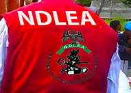 NDLEA Raises Alarm Over Suspected Intoxicating Sweets In Kano WhatsApp Image 2025 02 03 at 9.54.21 AM