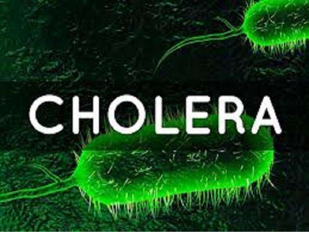 Cholera Outbreak Hits Plateau State, Claims Lives cholera