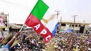 APC Wins All Seats In Kwara State Local Government Elections download (11)