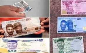 Folding, Spraying Of Naira Driving Up Printing Costs— CBN Warns download (36)