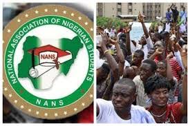 NANS Threatens Major Protest Against Diversion Of Food By NEMA nans