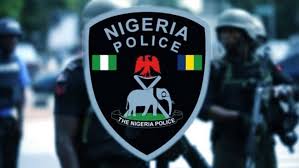 Police Nab Herbalist For Ritual Murder Of A Young Boy police logo